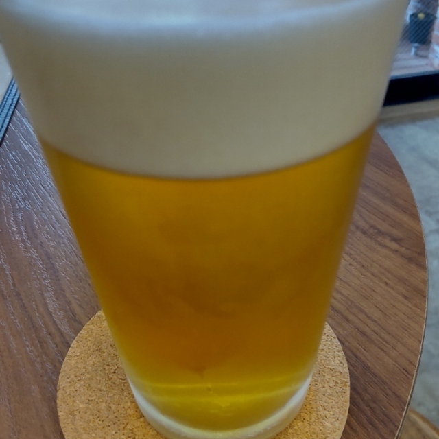 KAKUUCHI MUCCA